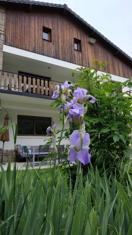 Bed and Breakfast Le Jardin De Moulis, Saint Girons, Ariege, Pyrenees, Zewnętrze zdjęcie